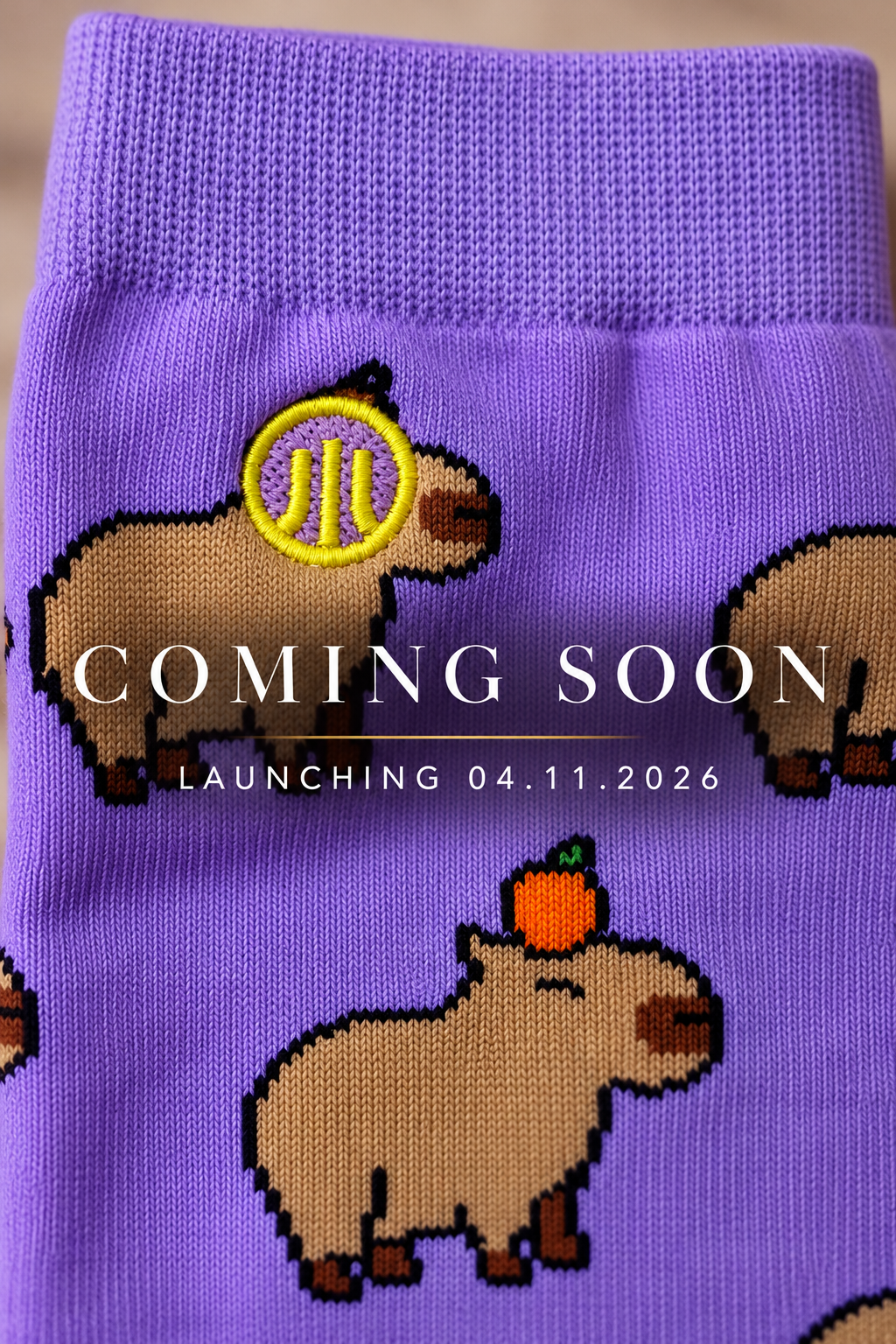 Capybara Socks