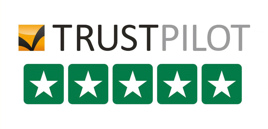 Stand Out Reach 100 5 Star reviews on Trustpilot
