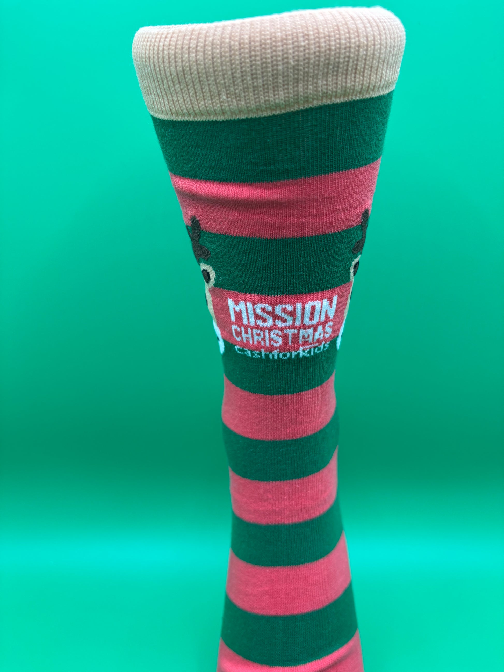 Green and red striped sock with text on a teal background